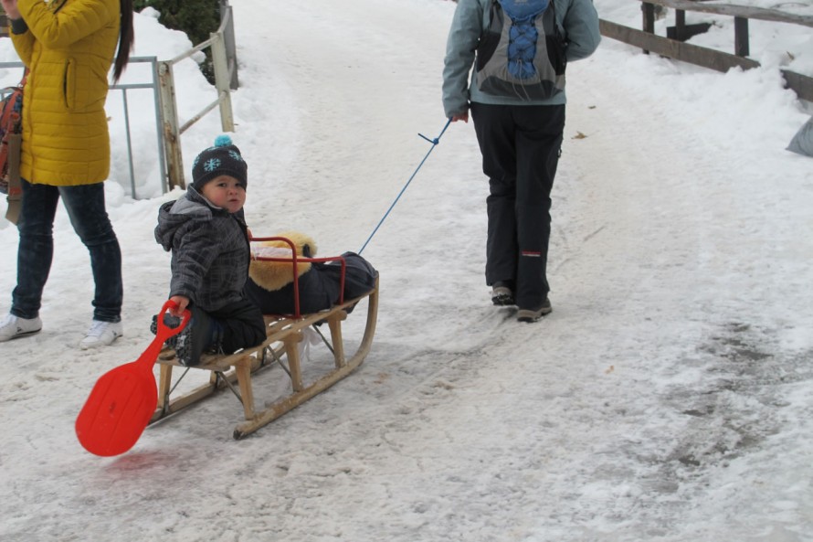 indice-murren